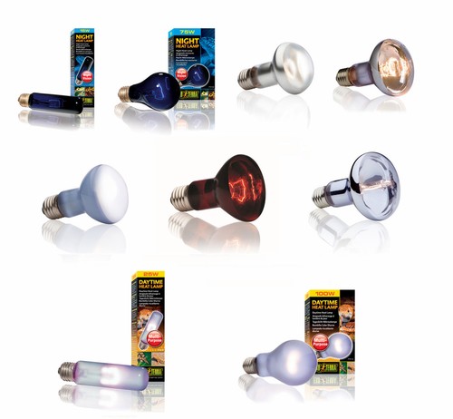 Exo terra bulb - terra,