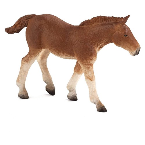 Mojo suffolk punch - mojo, horse