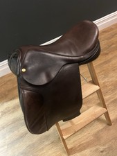 Black Country | Havana Working Hunter 16.5 XW Euro Tree