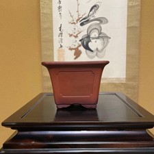Bonsai Pot Kinkeido Square Red