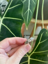 Pandora Retired Solid Sterling