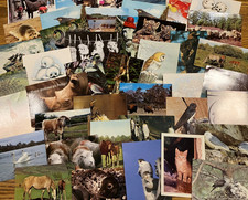 Postcard Bundle / Joblot of 15 x Animals / card crafts
