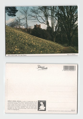Postcard dora s field - postcard,