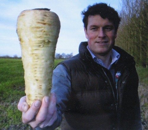 RARE*GIANT*BUTTERSCOTCH