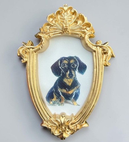 Dachshund dog mini - dog,