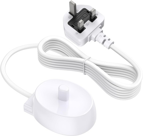Charger for oral electric - b,