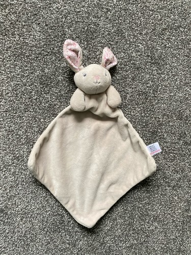 Next bunny rabbit baby - bunny,