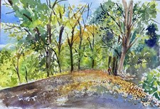 Original Watercolour Painting (Water of Leith )