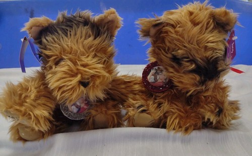 Victoria secret ltd plush - ed,