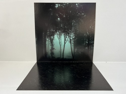 Custom spooky forest ikea - forest,