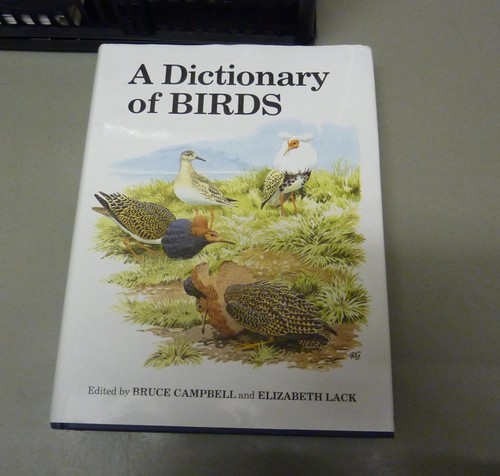Dictionary birds - a,