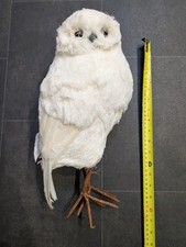 Owl Decoration Garden Scare Statue Ornament