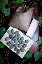 25 RUNE STONES & BAG  Elder