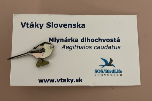 Slovenska long tailed tit - slovenska, -long