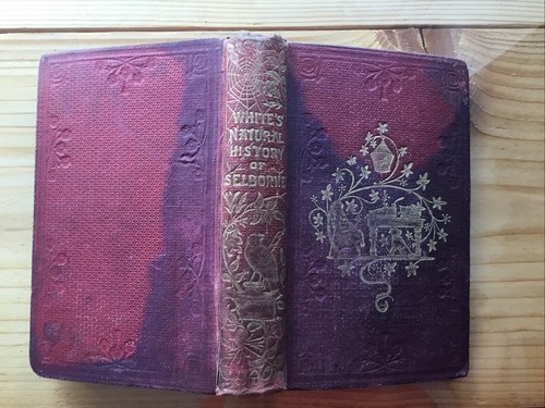 Natural history selborne - selborne,