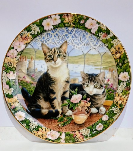 Cats royal doulton in - ,