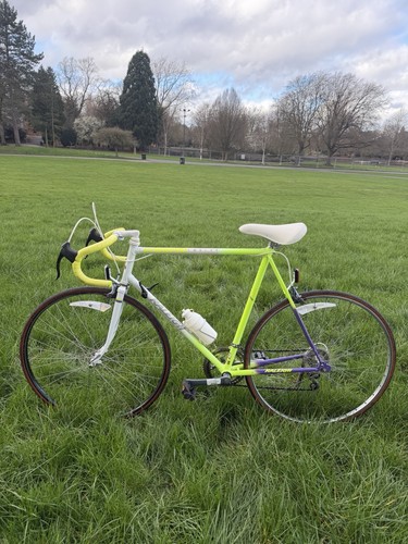 Raleigh scorpio vintage - vintage, 700c