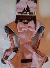 Wainwright's Herringbone Puppy