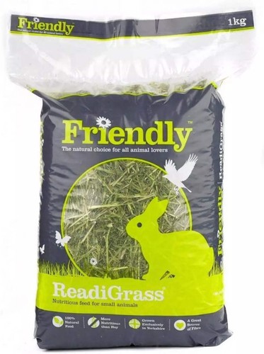 Friendly readigrass rabbit - readigrass,