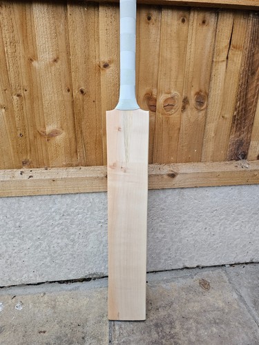 Cricket bat short handle - bat,