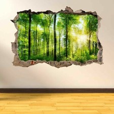 Forest Summer Sun Ray Scenery
