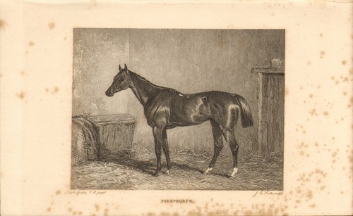 1840s print race horse - 1840s,