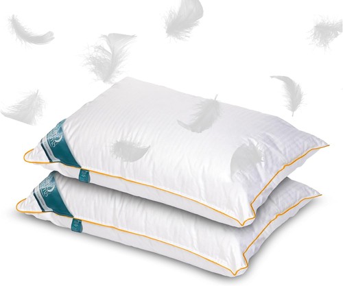 Luxury goose feather and down - goose,