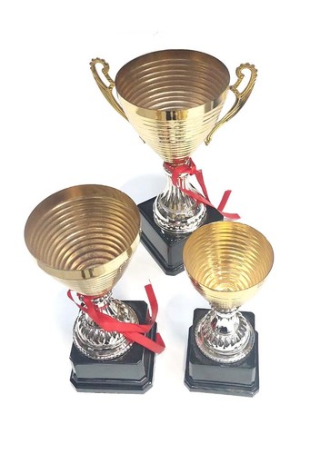 Used trophy collection - used,
