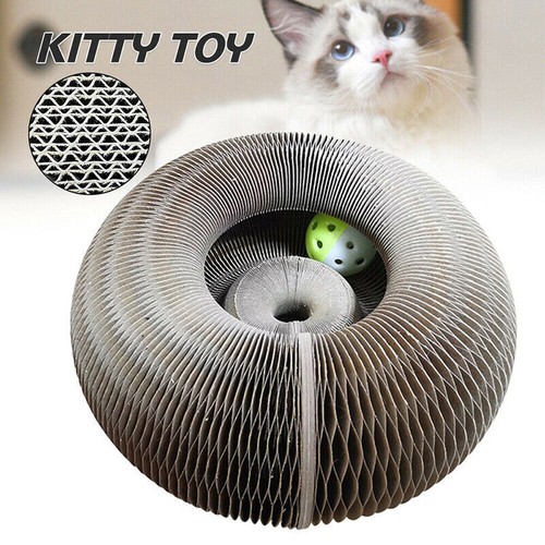 Cat accordion magic organ - cat,