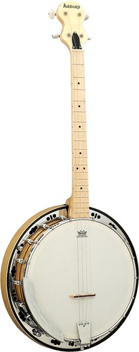 Ashbury tenor banjo - tenor,