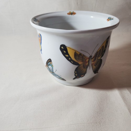 Butterfly ceramic planter - butterfly,