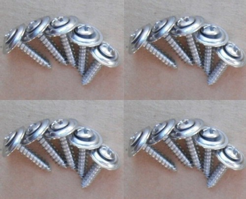 Chrome kick panel - kick, screws
