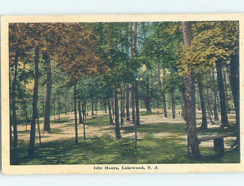 Border nature lakewood by - w-border,