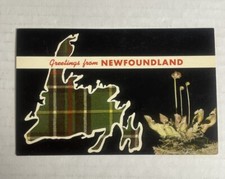 Postcard Map of Newfoundland