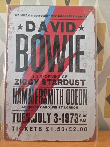 David bowie ziggy stardust - bowie,