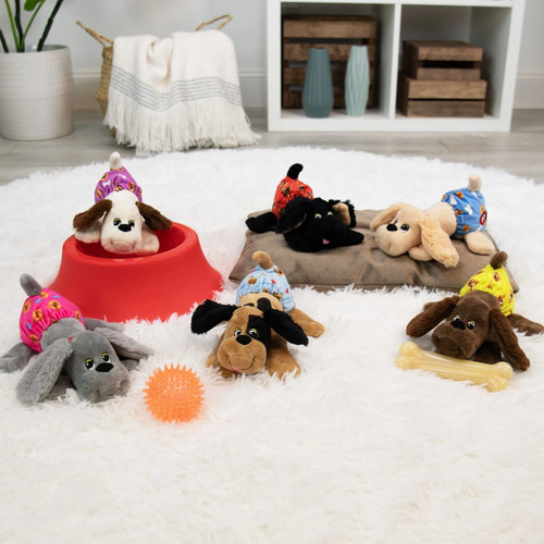 Pound puppies newborns - pound,