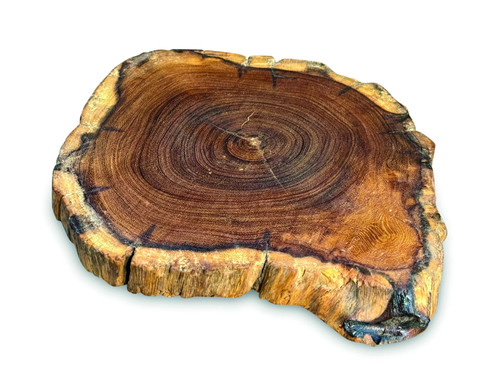 Small teak root - small,