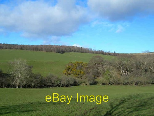 Photo 6x4 grazing land - 6x4,