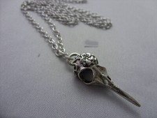 A Crow Raven Bird Skull