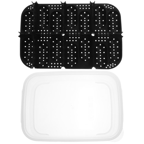 Premium compartments eggs - compartments,