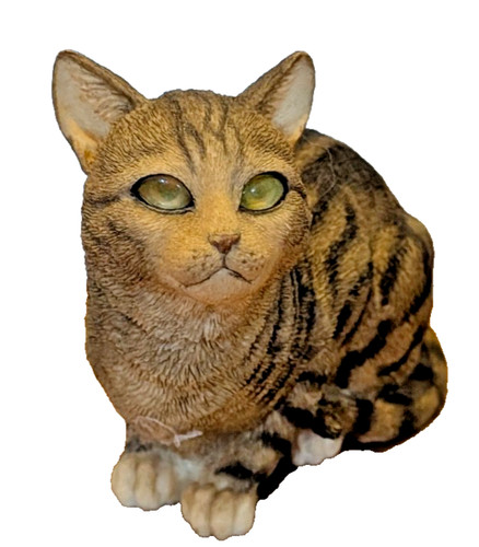 Country artists brown tabby - artists,