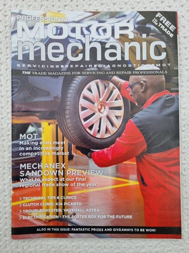 Professional motor mechanic - motor,