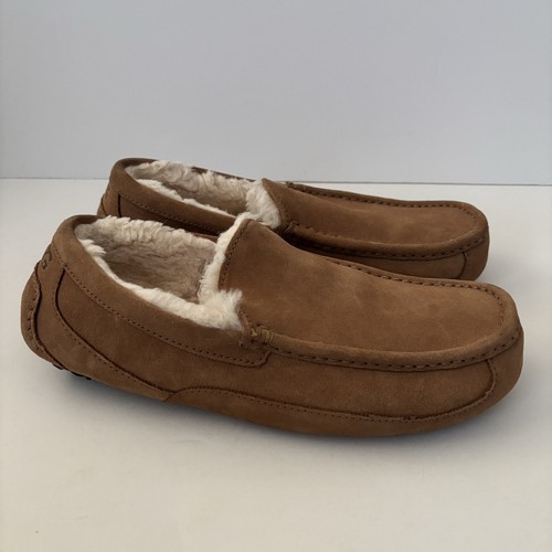 Men ugg ascot - ugg, slippers