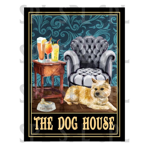 The dog house norwich terrier - dog,