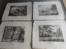 Samuel Howitt Etchings from THE BRITISH SPORTSMAN 1812 - 4 x Horses Series