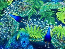 Royal Peacock Velvet Fabric