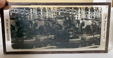 Glass Stereoscopic Slide, The