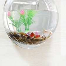 A-Home Decoration Wall Mount