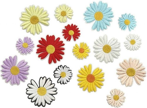 Beautiful daisy flower - daisy,