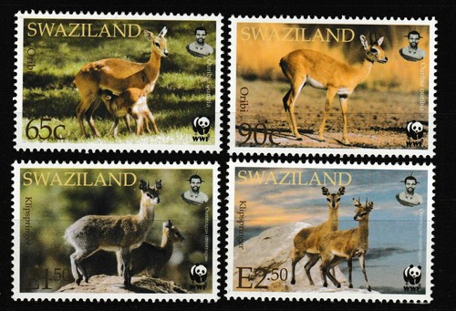 Wwf swaziland - wwf,